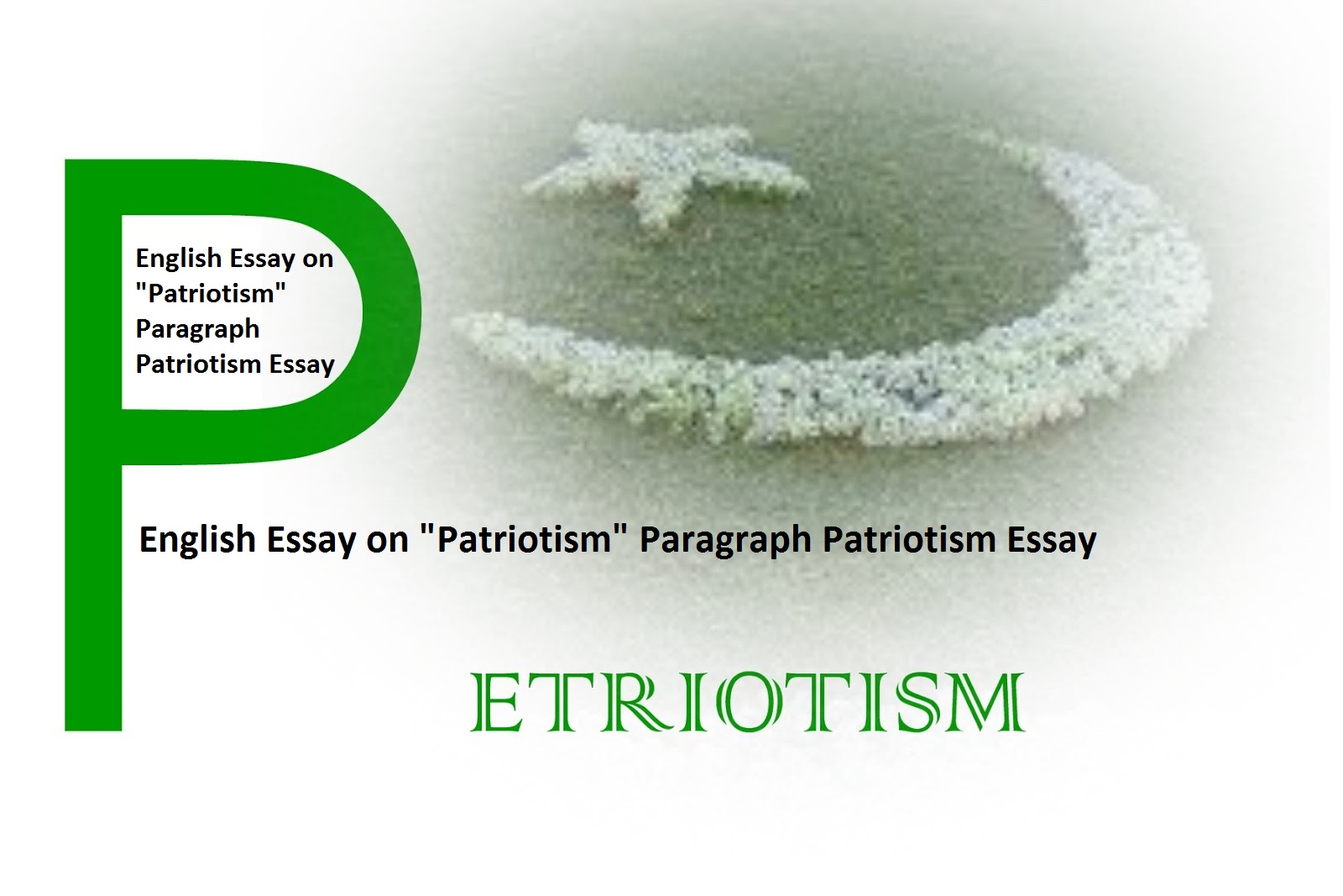 Essay on patriotism in english
